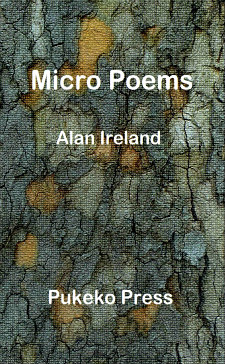 Micro Poems